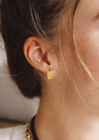 Boucles d'oreilles Spalière (Acier)