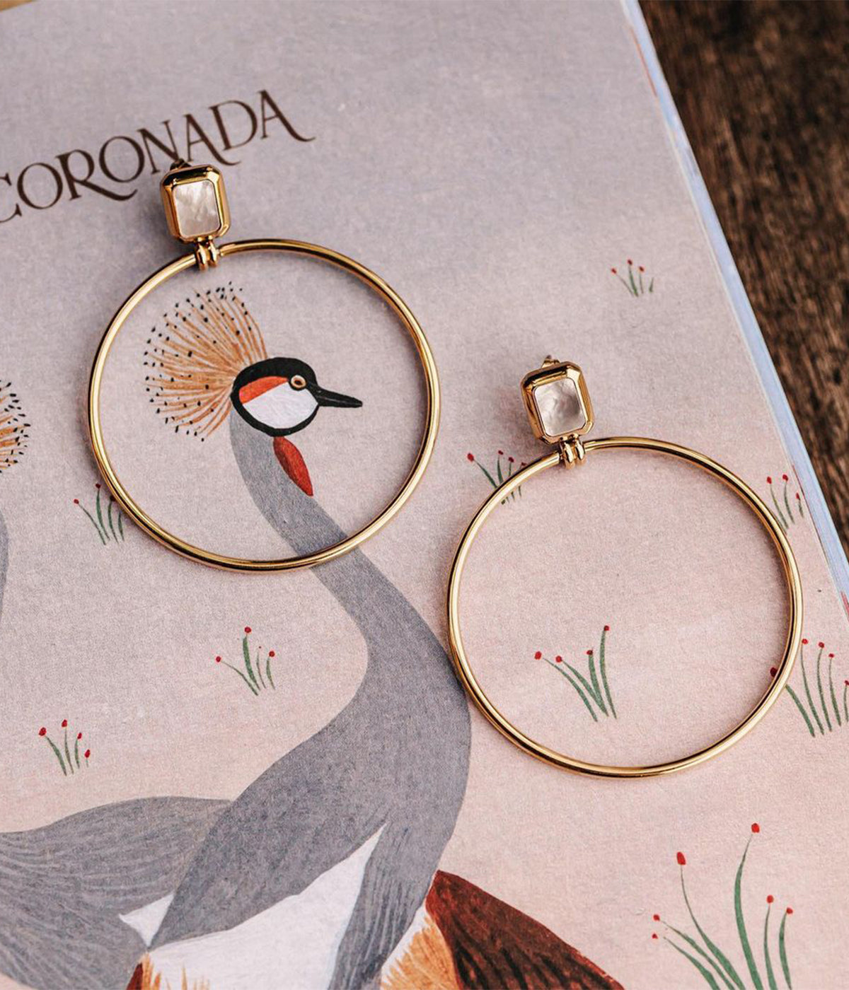 Boucles d'oreilles Omonia (Acier doré)