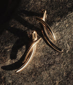 Boucles d'oreilles Apion (Acier doré)