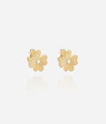 Boucles d'oreilles Giorgio (Acier doré)
