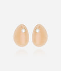 Boucles d'oreilles Monstera (Acier doré)
