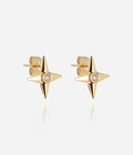 Boucles d'oreilles Leonardo (Acier doré)