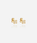 Boucles d'oreilles Amaé (Acier doré)
