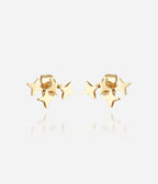 Boucles d'oreilles Massimo (Acier doré)