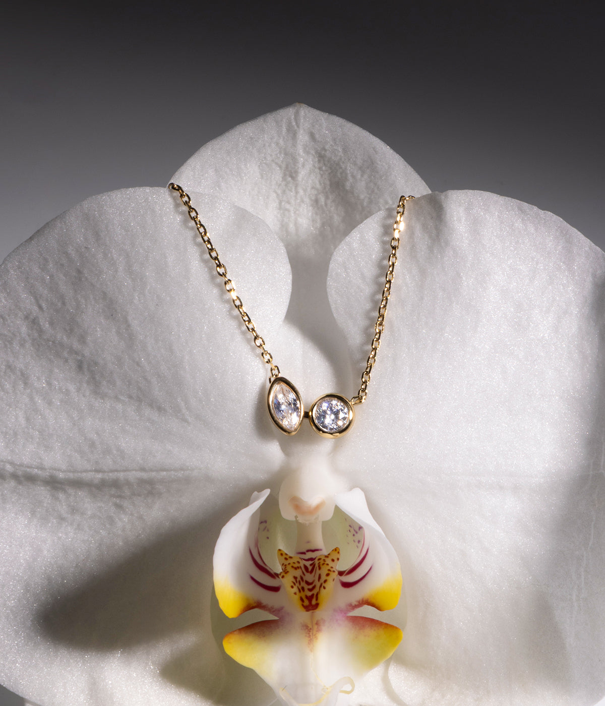 Collier Galatina (Acier doré)