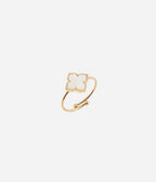 Bague Racine (Acier doré)
